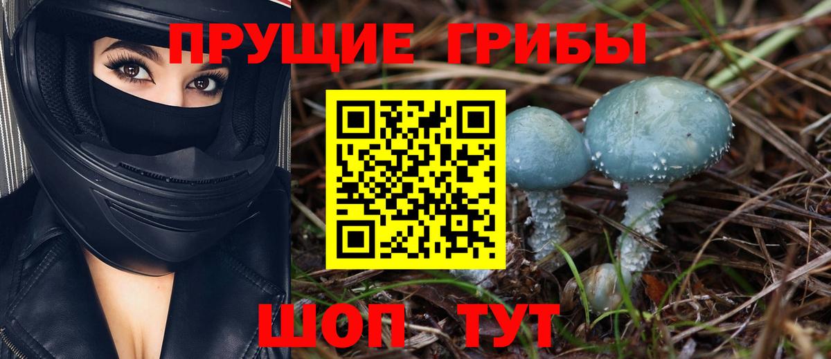 Галлюциногенные грибы прущие грибы Холмск