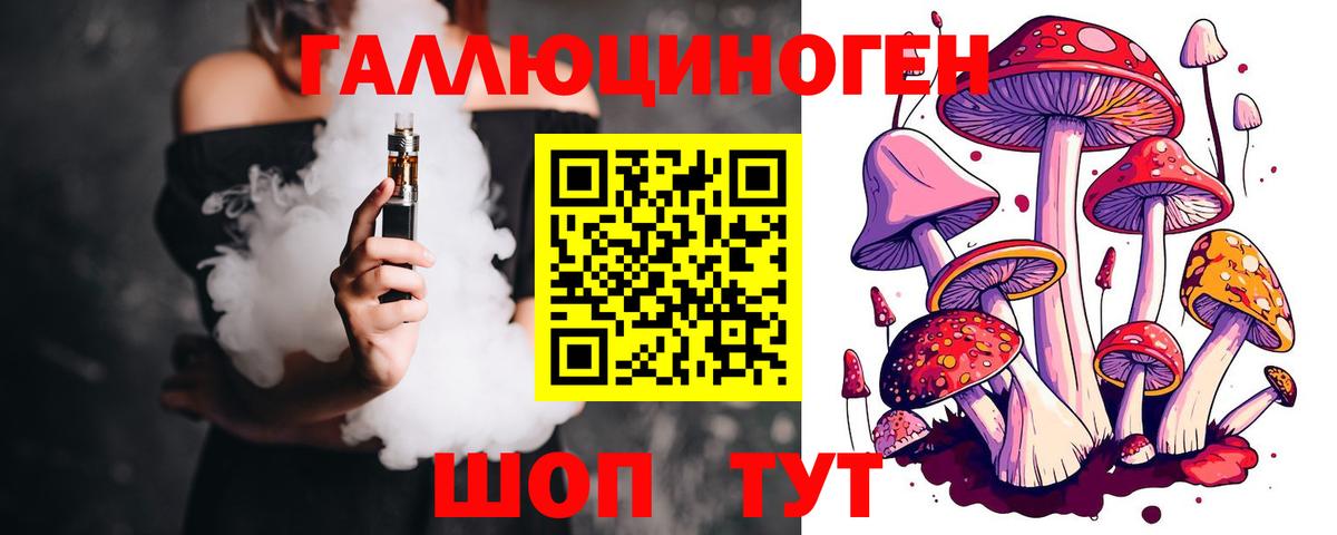 где можно купить наркотик  Вход с VPN  Холмск  Псилоцибиновые грибы Magic Shrooms 